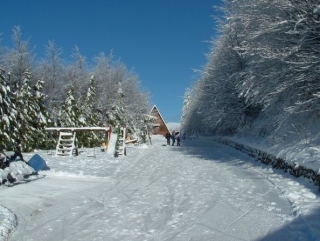  The snow-covered slopes 